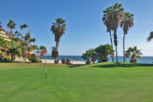 Palmilla (Ocean) 3rd Green